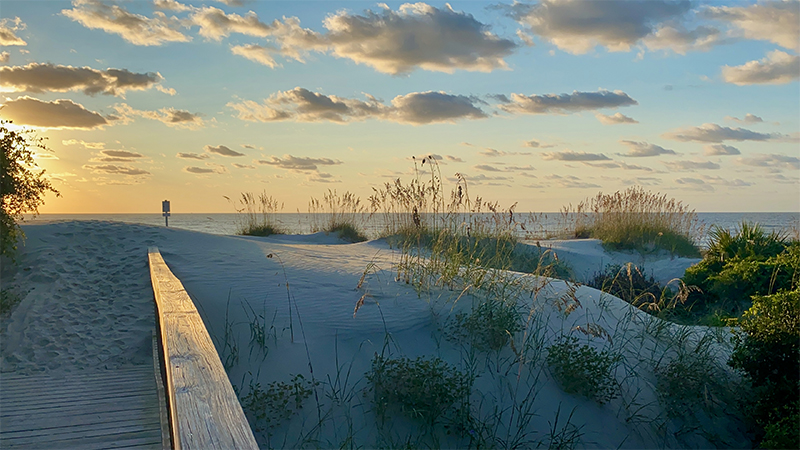 Beach boardwalk path at Jekyll Island